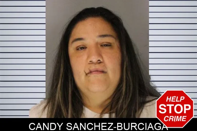 Candy Sanchez-Burciaga mugshot – Hall County , Georgia Candy Sanchez-Burciaga