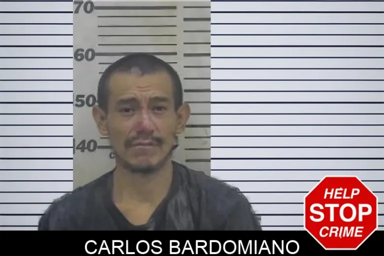 Carlos Bardomiano