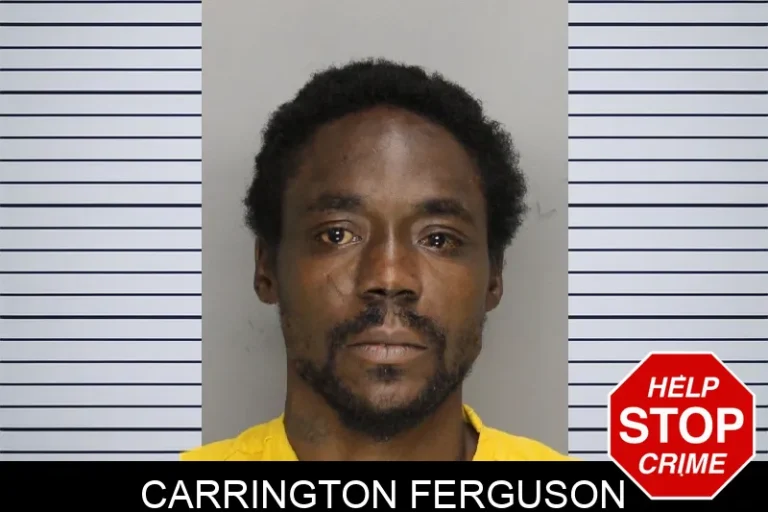 Carrington Ferguson