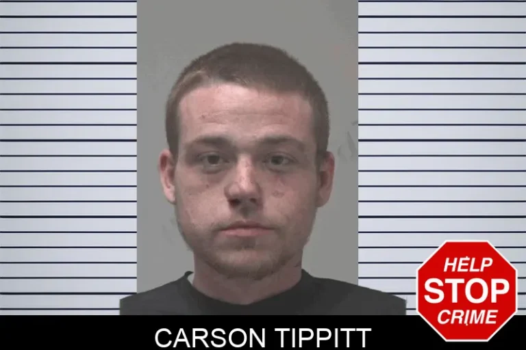Carson Tippitt
