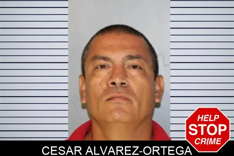 Cesar Alvarez-Ortega mugshot – Hall County , Georgia Cesar Alvarez-Ortega