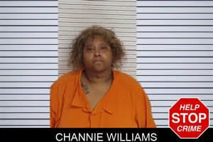 Channie Williams mugshot