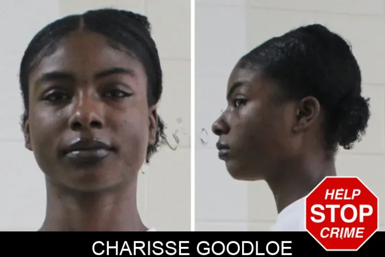 Charisse Goodloe mugshot – Houston County , Georgia Charisse Goodloe