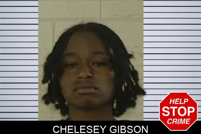 Chelesey Gibson mugshot – Liberty County , Georgia Chelesey Gibson