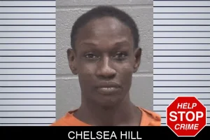 Chelsea Hill mugshot