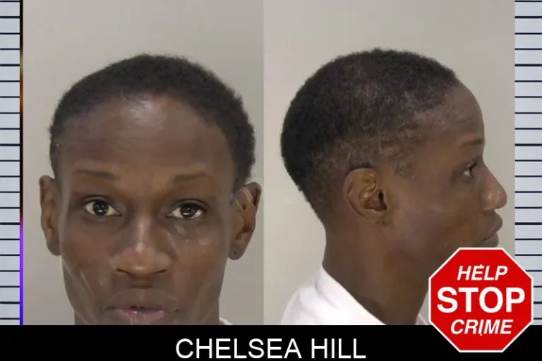 Chelsea Hill