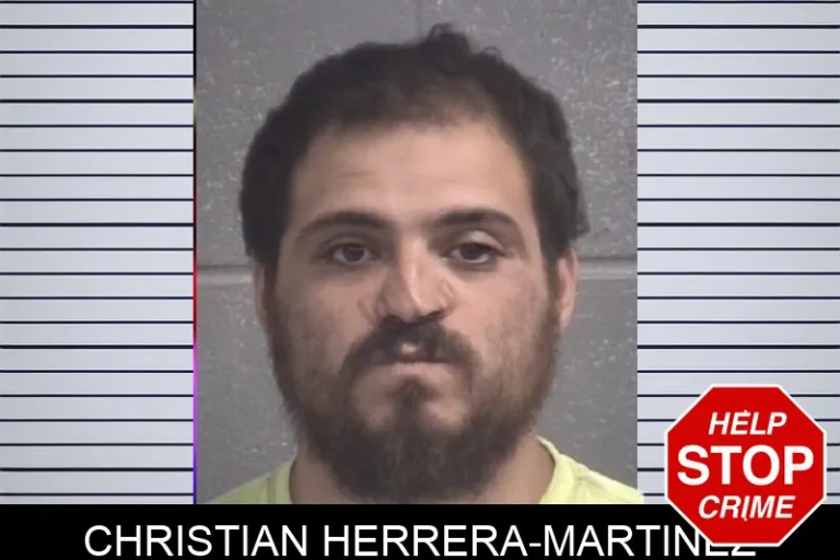 Christian Herrera-Martinez
