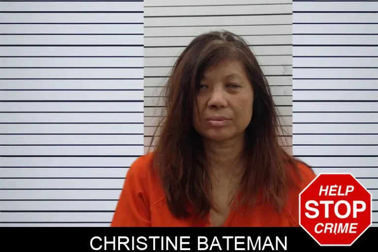 Christine Bateman mugshot – Pickens County , Georgia Christine Bateman