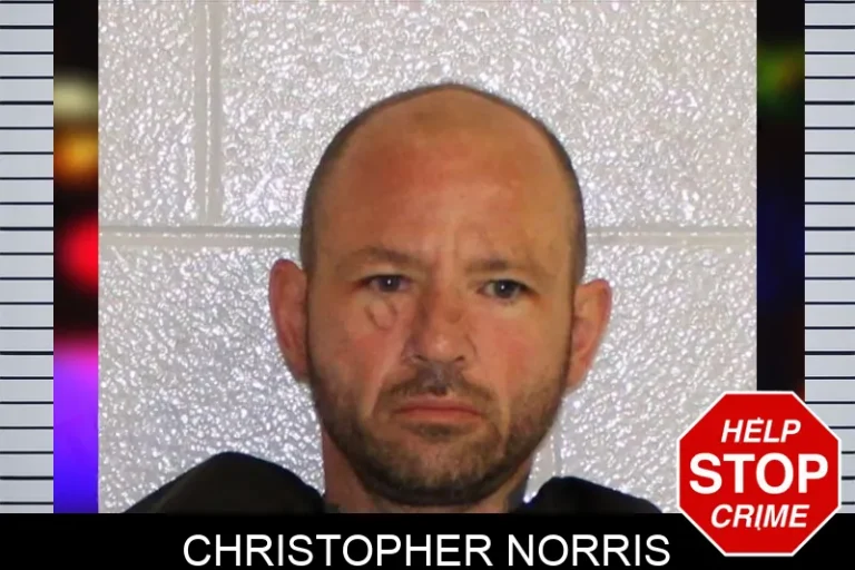 Christopher Norris