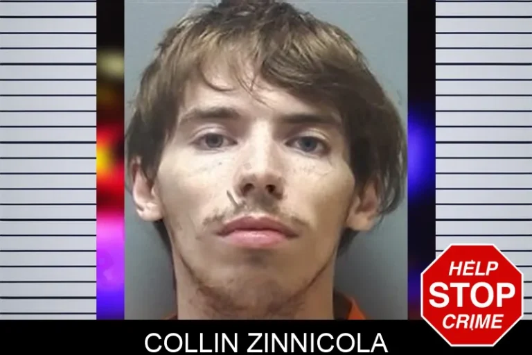 Collin Zinnicola