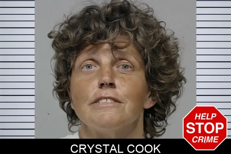 Crystal Cook