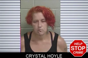 Crystal Hoyle mugshot
