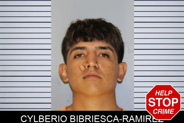 Cylberio Bibriesca-Ramirez