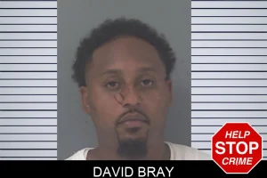 David Bray mugshot