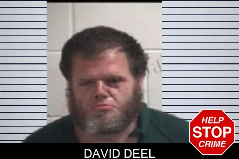 David Deel