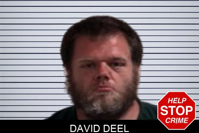 David Deel