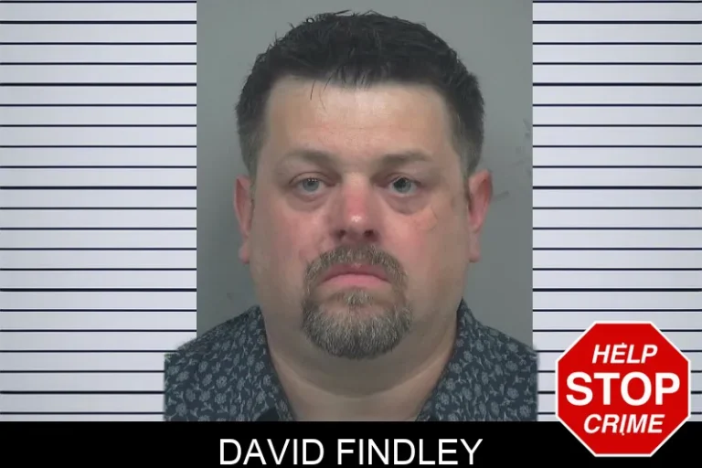 David Findley