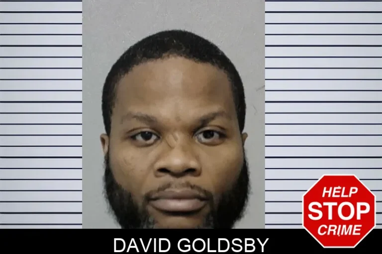 David Goldsby