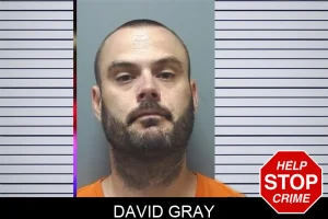 David Gray mugshot