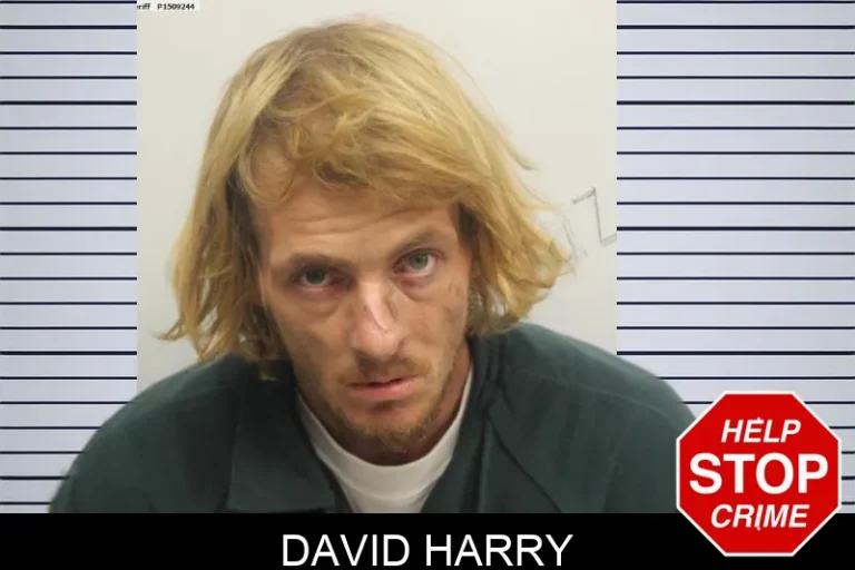 David Harry mugshot – Chatham County , Georgia David Harry