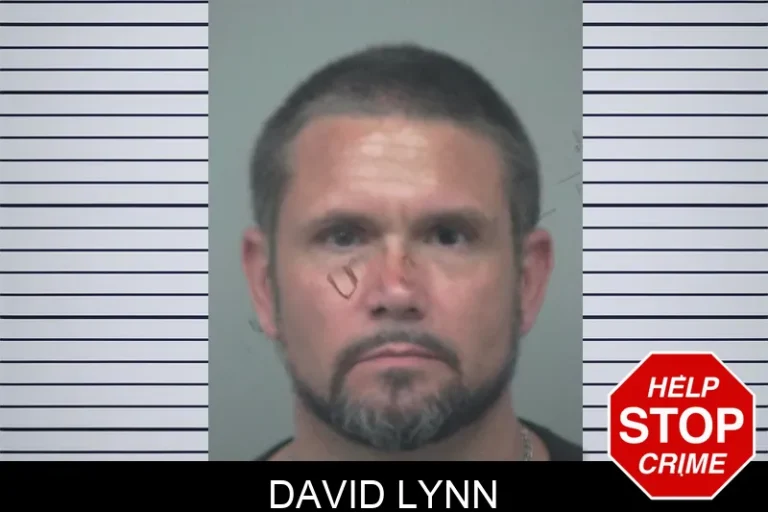 David Lynn