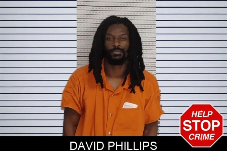 David Phillips