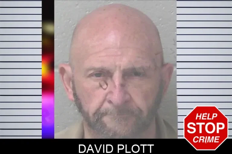 David Plott