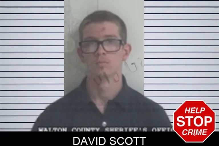 David Scott