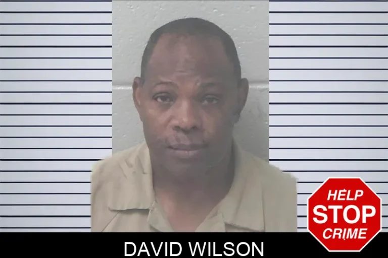 David Wilson