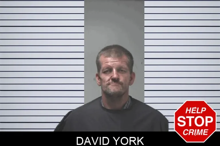 David York