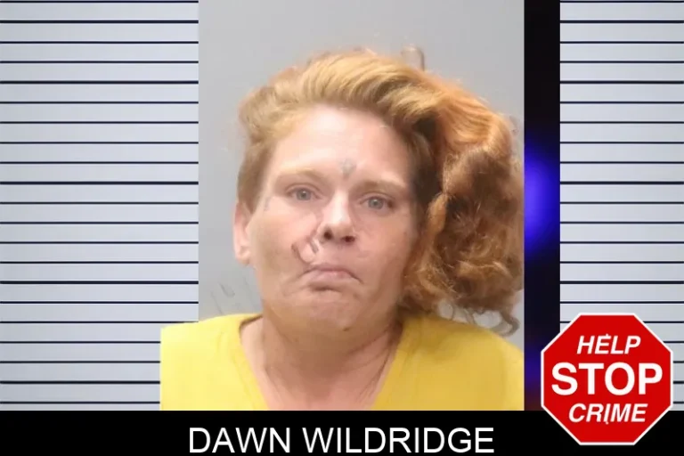 Dawn Wildridge