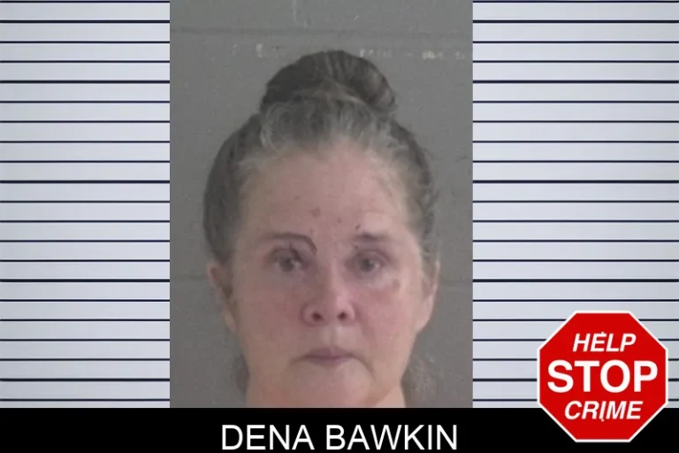 Dena Bawkin