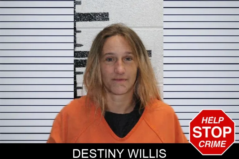 Destiny Willis