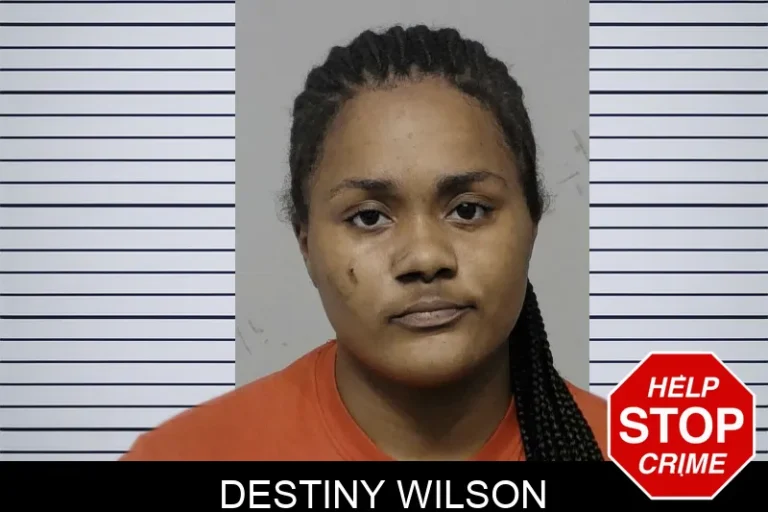 Destiny Wilson