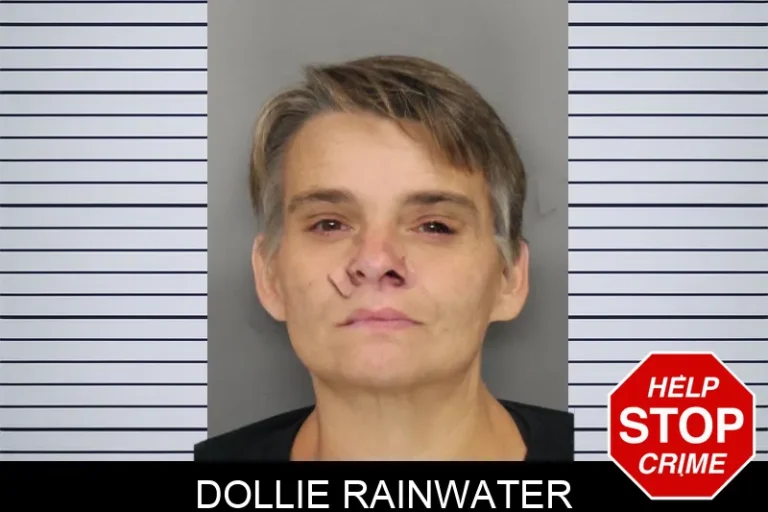 Dollie Rainwater mugshot – Cobb County , Georgia Dollie Rainwater