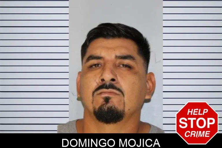 Domingo Mojica mugshot – Hall County , Georgia Domingo Mojica