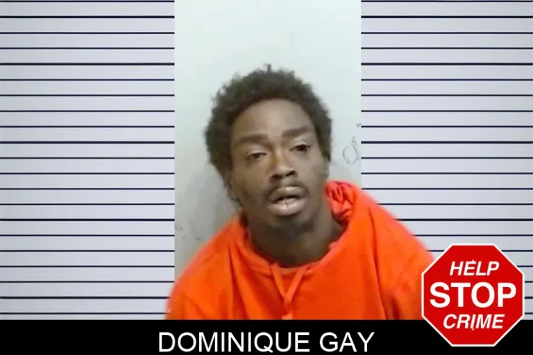 Dominique Gay