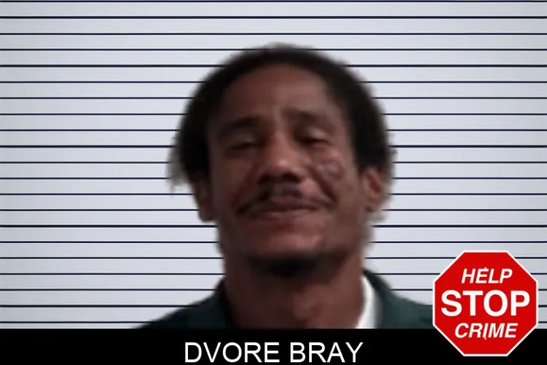 Dvore Bray
