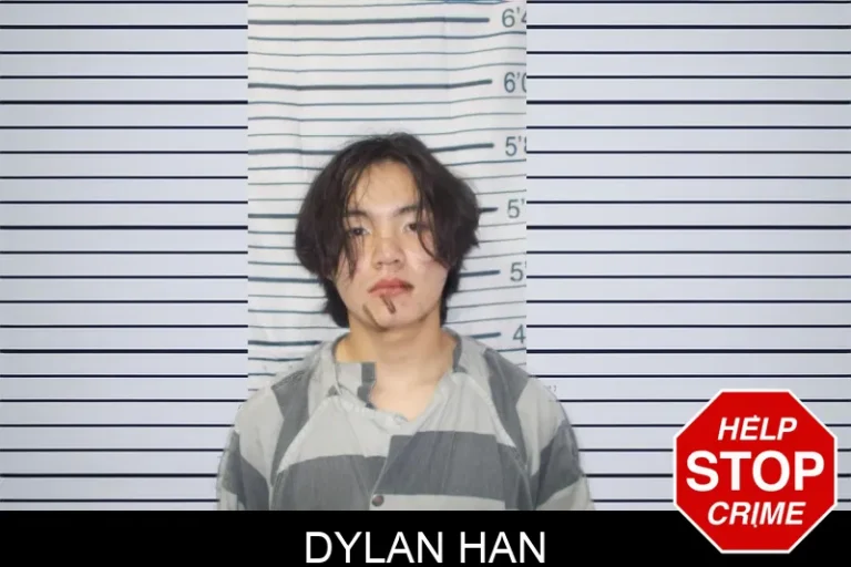 Dylan Han