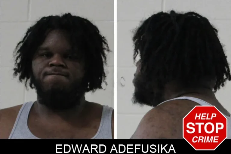 Edward Adefusika mugshot – Houston County , Georgia Edward Adefusika