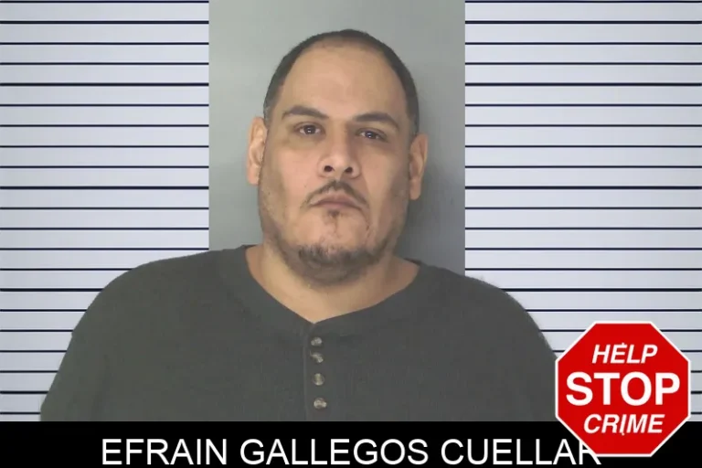 Efrain Gallegos Cuellar