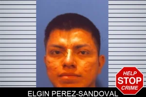 Elgin Perez-Sandoval mugshot