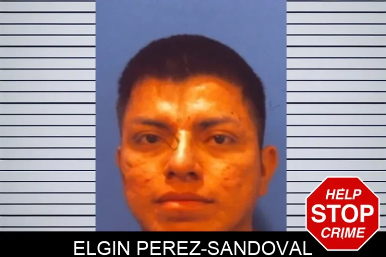 Elgin Perez-Sandoval