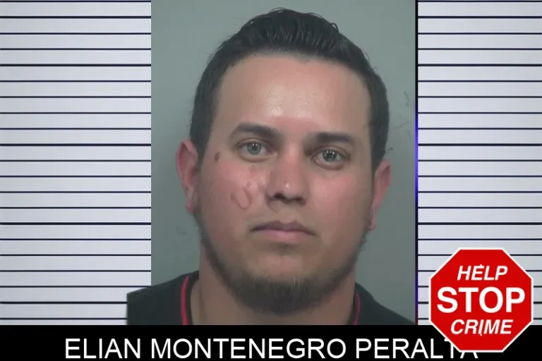 Elian Montenegro Peralta