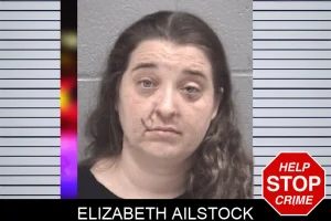 Elizabeth Ailstock mugshot