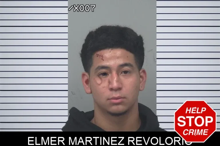 Elmer Martinez Revolorio