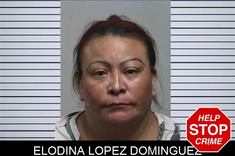 Elodina Lopez Dominguez