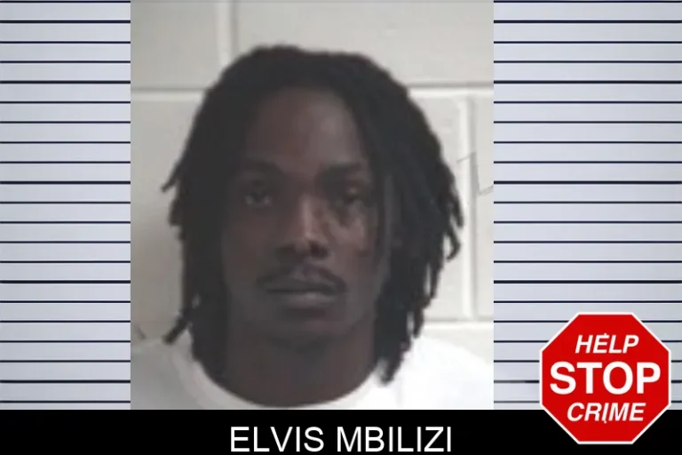 Elvis Mbilizi mugshot – Henry County , Georgia Elvis Mbilizi