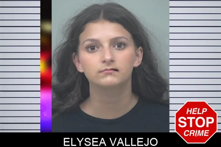 Elysea Vallejo mugshot – Gwinnett County , Georgia Elysea Vallejo