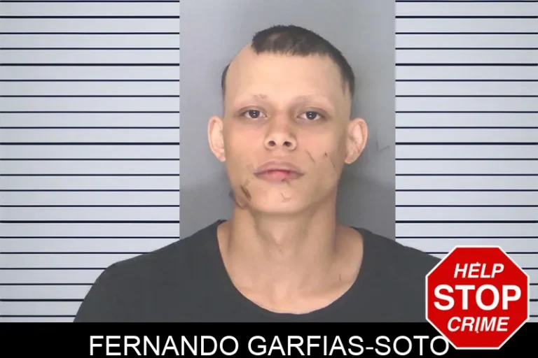 Fernando Garfias-Soto